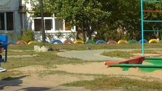 Как гулять с ребёнком с пользой для себя - смотреть видео (0:19)