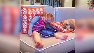 А ну не спать! - смотреть видео (0:06)