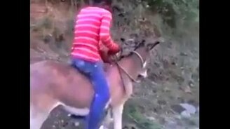 Как завести осла - смотреть видео (0:31)