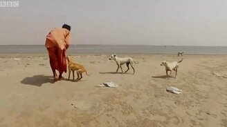 Собачий остров - смотреть видео (1:04)