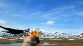 Ну-ка, дружок, дай пирожок! - смотреть видео (0:40)