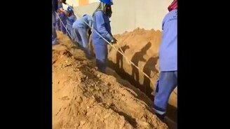 Гениальная командная работа - смотреть видео (0:19)