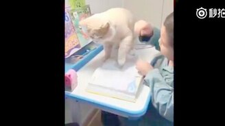 Самая ласковая помеха - смотреть видео (1:03)