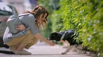 История про девушку, собаку и её хозяина - смотреть видео (1:18)