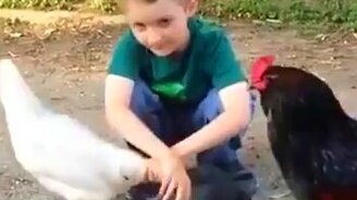 Все любят ласку - смотреть видео (0:34)