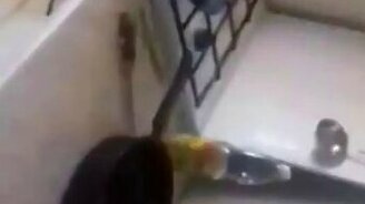 Прямое включение с кухни - смотреть видео (2:35)