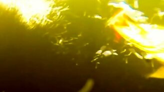 Атака щуки на разные приманки - смотреть видео (2:45)