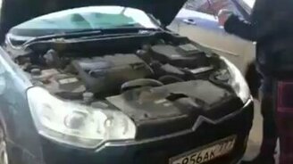 Крысы обосновались под капотом - смотреть видео (1:19)