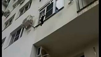 Прохожий спас кота - смотреть видео (0:44)