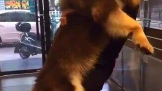 Когда хочется побыть маленьким - смотреть видео (0:14)