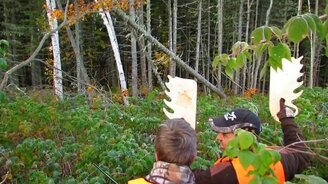 Удачная фотоохота на лося - смотреть видео (2:51)