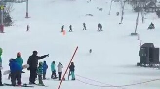 Кенгуру покоряет горнолыжную трассу - смотреть видео (0:29)