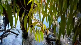 Охотясь, не стань добычей! - смотреть видео (1:10)