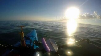 Спасение игуаны в открытом море - смотреть видео (3:46)