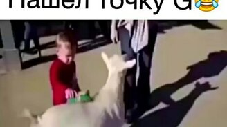 Коза пукнула - смотреть видео (0:05)