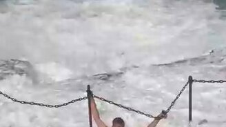 Взрослый глупыш и морская волна - смотреть видео (0:08)