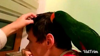 Я сам почешу голову хозяину! - смотреть видео (1:08)