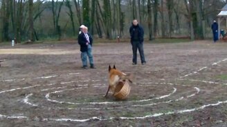 Пошли, я тебя потреплю! - смотреть видео (0:44)