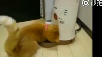 Давай мне еды, автомат! - смотреть видео (0:22)