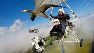 Полёт с птицами наравне - смотреть видео (2:15)