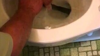 Неожиданный гость в унитазе - смотреть видео (1:47)