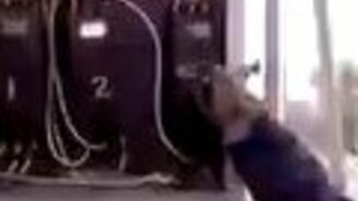 Включай рубильник! - смотреть видео (0:11)