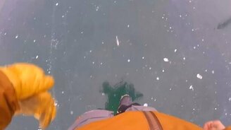 Пока ела, вмёрзла в лёд - смотреть видео (1:39)