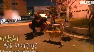 Кошка, которая берёт еду только в пакете - смотреть видео (1:47)