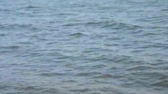 Рыбалка при помощи топора - смотреть видео (0:34)