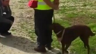 По-доброму встретились после разлуки - смотреть видео (1:27)