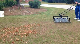 Быстро собираем орехи - смотреть видео (1:42)