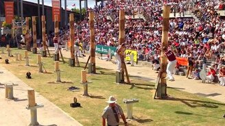 Интересное состязание лесорубов - смотреть видео (2:55)