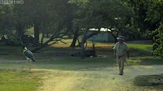 Ещё говорят, что животные глупы... - смотреть видео (1:38)