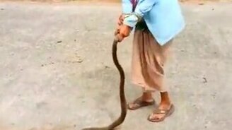 Бабушка против ядовитой змеи - смотреть видео (0:07)