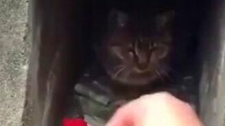 Класть можно, брать нельзя! - смотреть видео (0:11)