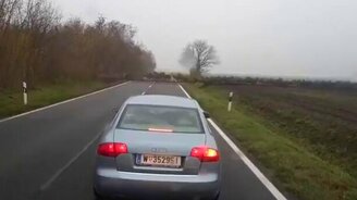 Оленье стадо пересекает дорогу - смотреть видео (1:07)