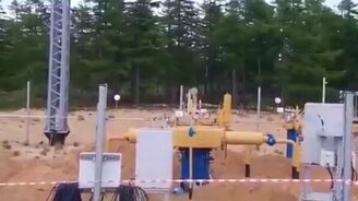 Как разговаривать с медведями - смотреть видео (0:42)