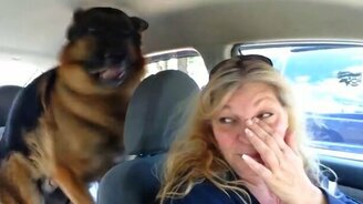 Я не хочу к врачу! - смотреть видео (0:28)