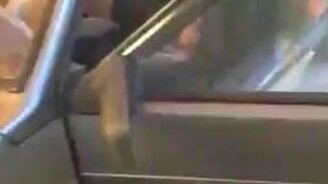 Кулибин от бога - смотреть видео (1:53)