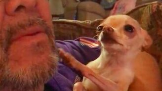 Целуй меня, целуй! - смотреть видео (0:43)