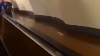 Когда ты в метро и сильно торопишься - смотреть видео (0:10)