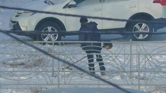 Сибирский газонокосильщик - смотреть видео (0:39)