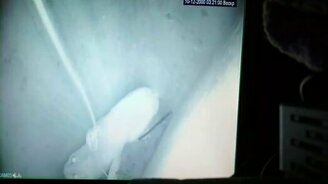 Спасение котика из вентиляционной шахты - смотреть видео (2:37)