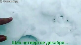 Декабрьские комары - смотреть видео (0:06)