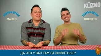 Итальянцы угадывают русские звуки животных - смотреть видео (8:01)