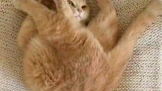 Когда ты не доволен сам собой - смотреть видео (0:15)