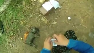 Спасение утопающего щенка - смотреть видео (2:04)