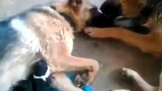 Будто из роддома только что забрал - смотреть видео (0:29)