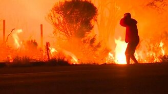 Спас кролика из пожара - смотреть видео (1:22)