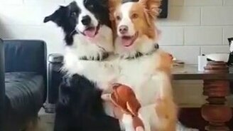 Давайте сделаем семейное фото - смотреть видео (0:34)